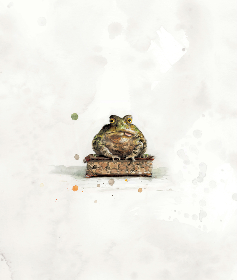 Illustration for article titled The Harry Potter Illustrated Edition Is Stunningly Gorgeous